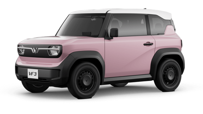 Xe màu Rose Pink
